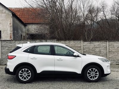 Ford Kuga 1.5 TDCi Duratorq Business X AWD A/T - fotografia 13
