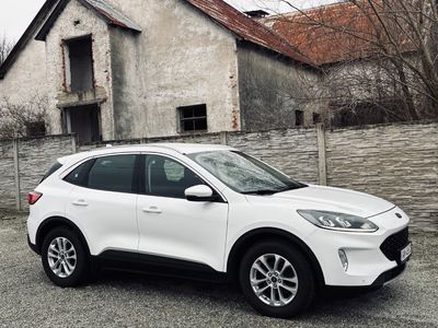 Ford Kuga 1.5 TDCi Duratorq Business X AWD A/T - fotografia 24