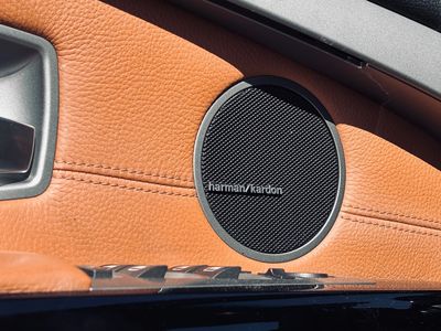 BMW Rad 7 750 i Long A/T - fotografia 30