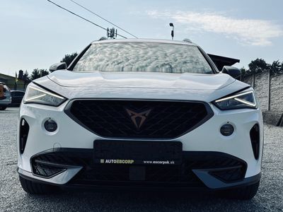 Cupra Formentor 2.0 TDI 150k 4Drive DSG - fotografia 12