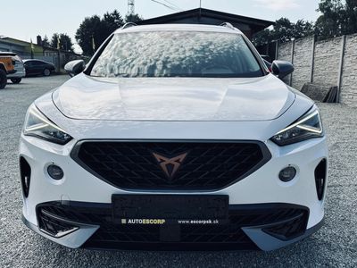 Cupra Formentor 2.0 TDI 150k 4Drive DSG - fotografia 23