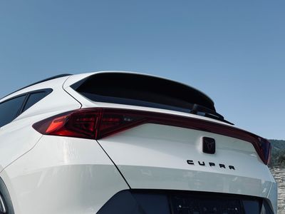 Cupra Formentor 2.0 TDI 150k 4Drive DSG - fotografia 35